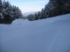 IMG_7275.jpg