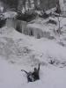 DSC06401.JPG