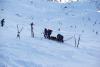DSC07337.jpg