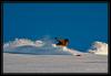 Telemark_2.jpg