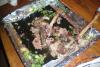 100_0114.JPG