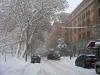 snoow__1_.JPG