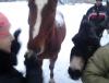 20130113_162618.jpg