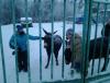20130113_162540.jpg