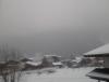 20130224_123027.jpg
