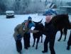 20130113_162555.jpg