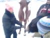 20130113_162623.jpg