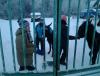 20130113_162544.jpg