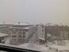 IMG_20130226_123139.jpg