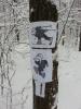 20130205_105049.jpg