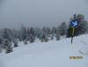 IMG_4172.JPG