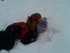 IMG_20140209_162725.jpg