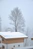 DSC_1305.JPG