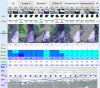 snow-forecast.gif
