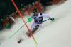 227920-hirscher.jpeg
