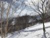 IMG-20190217-WA0028.jpg