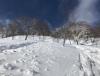 IMG-20190217-WA0014.jpg