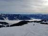IMG_20200209_100230.jpg