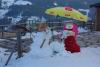 DSC01084.jpg