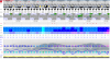 forecast20210223.png