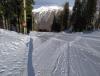 IMG_20210204_092247.jpg
