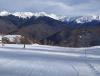 IMG_20210202_110114.jpg