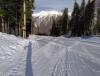 IMG_20210204_092320.jpg