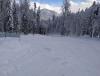 IMG_20220201_114926.jpg