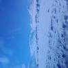 20230210_115018.jpg