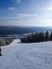 IMG_20230212_131555.jpg