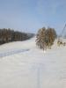 IMG_20230212_095225.jpg