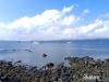 IMG_20240216_142848.jpg