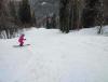 IMG_20240207_125255.jpg