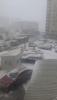 IMG-20250223-WA0057.jpg