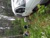 IMG_20220729_191714.jpg