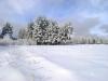 DSC01219.JPG