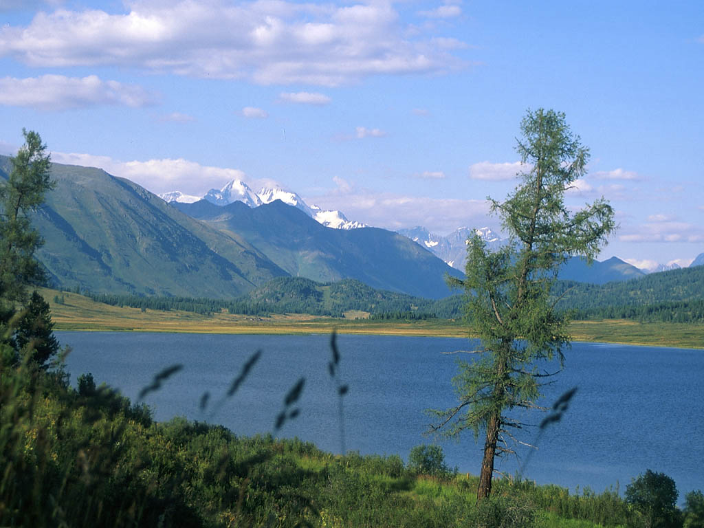 Карагай Республика Алтай