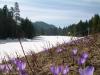 DSCN4697.JPG