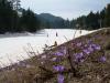 DSCN4703.JPG