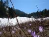 DSCN6215.JPG