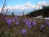 DSCN6245.JPG