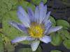 PICT0075.JPG