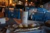 DSC01435.JPG