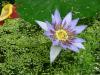 DSC01779.JPG