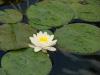 DSC01784.JPG