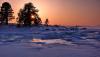 P1010990_resize.jpg