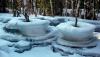 P1000294r_resize.jpg