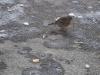 DSC03119.JPG