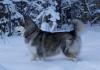 DSC01757.JPG
