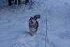 DSC01772.JPG